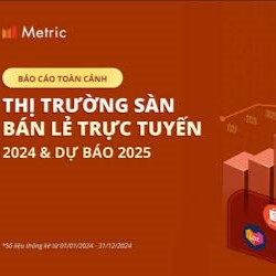 PHÂN TÍCH CHUYÊN SÂU: THƯƠNG MẠI ĐIỆN TỬ VIỆT NAM – KỶ NGUYÊN BÙNG NỔ VÀ NHỮNG THÁCH THỨC CHIẾN LƯỢC